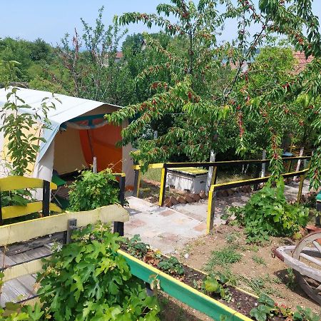 Angelinin Konak Negotin Bagian luar foto