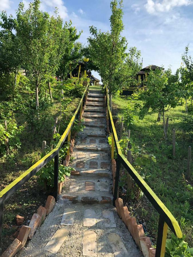 Angelinin Konak Negotin Bagian luar foto