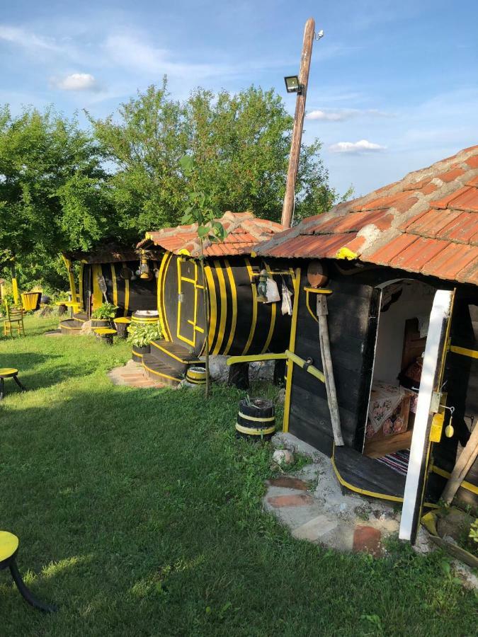 Angelinin Konak Hotel Negotin Bagian luar foto