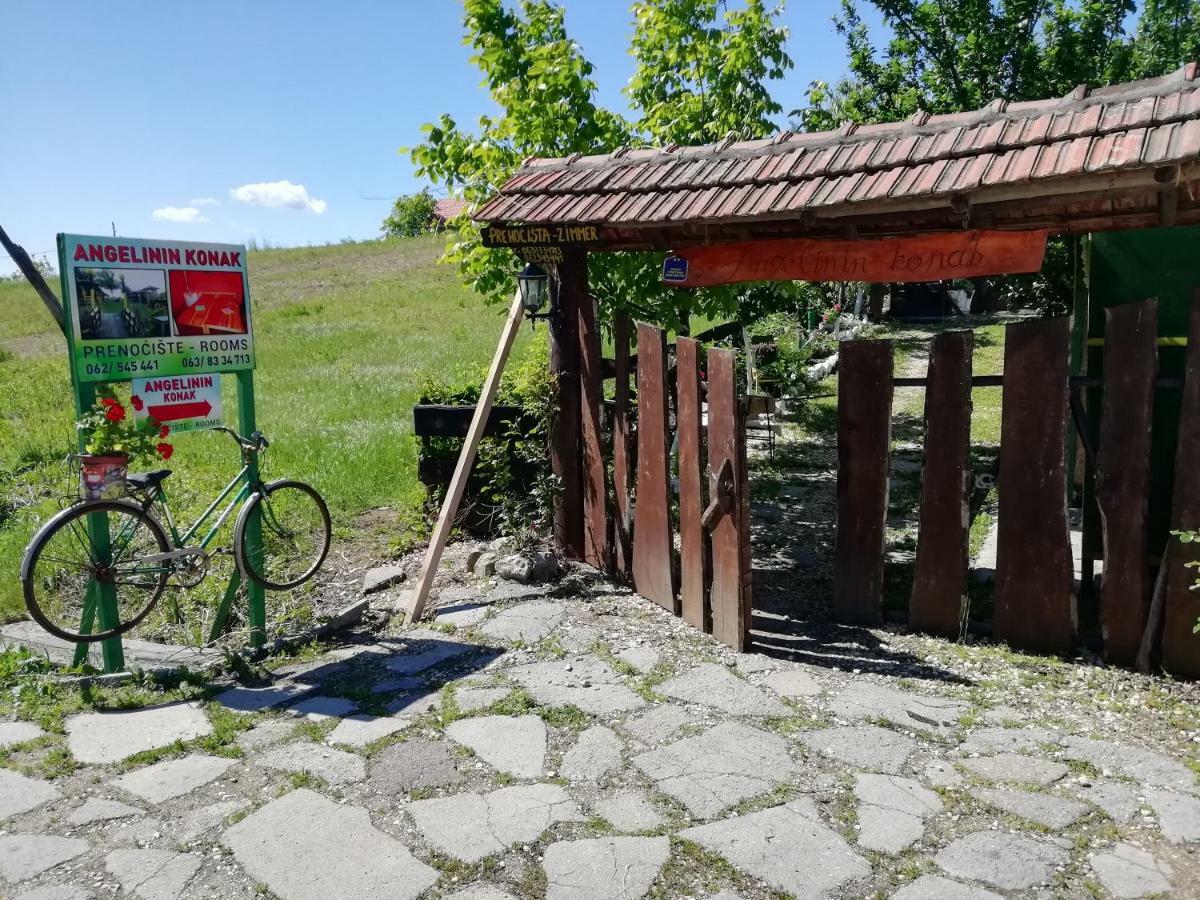 Angelinin Konak Hotel Negotin Bagian luar foto